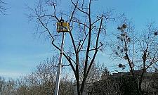 Zielony Żoliborz w liczbach, czyli podsumowanie 2023 roku