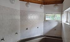 Zielony Żoliborz w liczbach, czyli podsumowanie 2023 roku