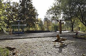 Będzie jaśniej na placu zabaw?