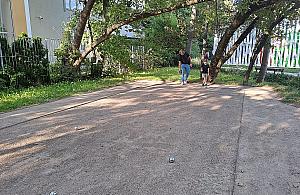 Żoliborski rodzinny turniej gry w bule?