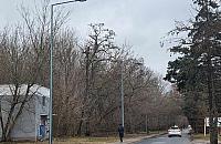 Koniec z egipskimi ciemnościami na Waldorffa