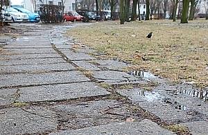 Mała metamorfoza na placu Inwalidów?