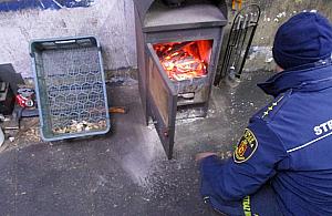 Truciciel z Elsnerowa ukarany