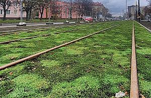 Zielone torowiska na Bródnie. Pomysł budzi kontrowersje