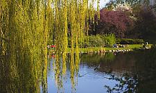 Morskie Oko i Promenada przed małą metamorfozą?
