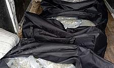 Miał w aucie 110 kg marihuany. "To się nie dzieje"