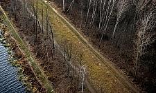 Urządzają park za miliony monet