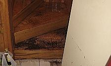 Mieszkańcy osiedla Kartezjusza: "Potop i zalane piwnice po każdej ulewie"