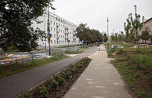 "Dopakują" Bielany zielenią. Przybędzie 170 drzew