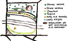 Plac Kuronia przejdzie zieloną metamorfozę?