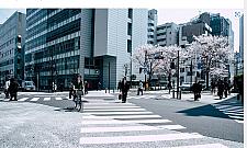 Sztuczna inteligencja pisze o Białołęce. "Zęby bolą"