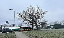 Protest rolników. Korki na wąskich ulicach Białołęki, Jabłonny i Nieporętu