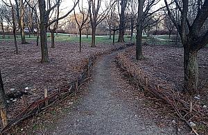 Nowe propozycje dla parku Olszyna. Co tym razem zgłosiliśmy?