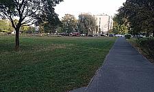 Nowe propozycje dla parku Olszyna. Co tym razem zgłosiliśmy?