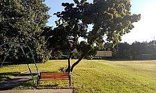 Nowe propozycje dla parku Olszyna. Co tym razem zgłosiliśmy?