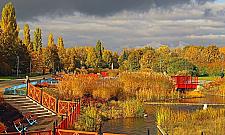 Mieszkańcy chcą powiększyć park Szymańskiego