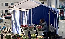 ZDM wyrzuci kwiaciarki z placu Wilsona?