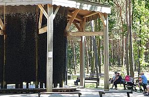 Sanepid zablokował budowę tężni na Sadach Żoliborskich