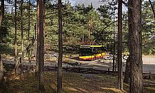 Autobus do Palmir rusza po zimowej przerwie