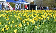 Okaż kulturę - chroń naturę! Piknik z okazji Dnia Ziemi