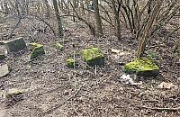 Deweloper chce budować osiedle na starym cmentarzu. Gdzie są granice?