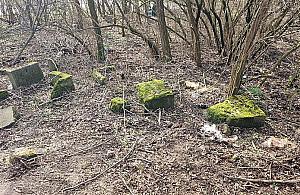 Deweloper chce budować osiedle na starym cmentarzu. Gdzie są granice?