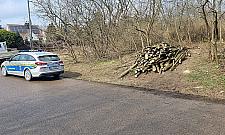 Deweloper chce budować osiedle na starym cmentarzu. Gdzie są granice?