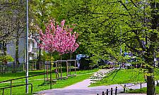 Powstał skwer Krzysztofa Michalskiego. Kim był i czego dokonał?