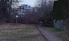 Sternicza powinna zosta� ucywilizowana [LIST]