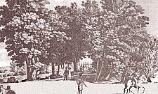 Niezwykłe dzieje parku Kaskada