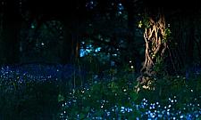 Wiercipiętka kontra szara mgła. BCK zaprasza dzieci na poranek teatralny