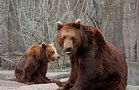 Wizyta w warszawskim zoo nie dla wszystkich? Sprawdźmy to!