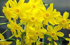 Odkrywanie utraconej przeszłości. Historie Dzieci Holocaustu