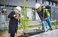 Skwer Krasińskiego zazielenia się na wiosnę. Kiedy koniec metamorfozy?