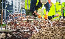 Skwer Krasińskiego zazielenia się na wiosnę. Kiedy koniec metamorfozy?