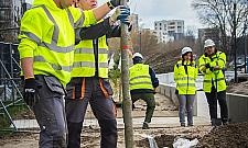 Skwer Krasińskiego zazielenia się na wiosnę. Kiedy koniec metamorfozy?
