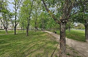 Więcej alejek na skwerze Piłsudskiej? "Mieszkańcy nie chcą chodzić obok ruchliwej ulicy"