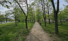 Więcej alejek na skwerze Piłsudskiej? "Mieszkańcy nie chcą chodzić obok ruchliwej ulicy"