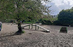 Psie "rozmowy" ponad wszystko? Uciążliwy wybieg dla czworonogów