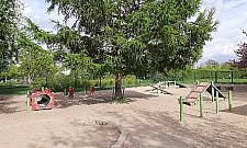 Psie "rozmowy" ponad wszystko? Uciążliwy wybieg dla czworonogów