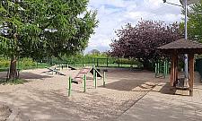 Psie "rozmowy" ponad wszystko? Uciążliwy wybieg dla czworonogów