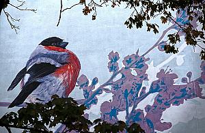 Kolejne murale przyozdobią bielańskie szkoły i budynek biblioteki?