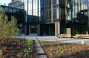 Przed biurowcem na Kasprzaka stanie rzeźba. Zaprojektują ją studenci ASP