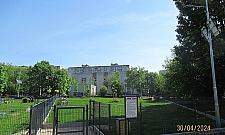 Wybieg dla psów w parku Bródnowskim zachwycił jedynie urzędników?