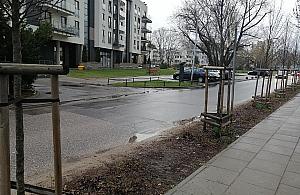 Skwer przy Anny German coraz bliżej. Zadecydują mieszkańcy