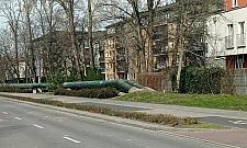 Rury ciepłownicze szpecą Młociny