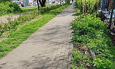 Te chodniki kompromitują gospodarza. Będzie remont z budżetu obywatelskiego?