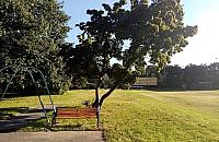 Park Olszyna popadł w niełaski urzędników? Projekty odrzucone hurtowo