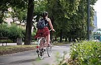 Wszystkie propozycje nowych ścieżek rowerowych trafiły do kosza