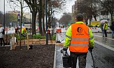 Więcej zieleni wzdłuż ulicy